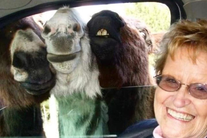 Private Black Hills Monument Package - thumb 3