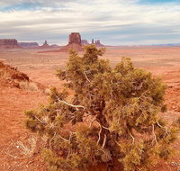 Monument Valley Backcountry Tour - Accommodation San Jose