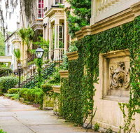 Savannah Land  Sea Combo City Sightseeing Trolley Tour with Riverboat Cruise - Accommodation San Jose