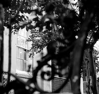 Genteel and Bard's Savannah Dark History and Ghost Walking Tour - Accommodation San Jose