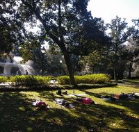 Yoga in Forsyth Park - Accommodation San Jose