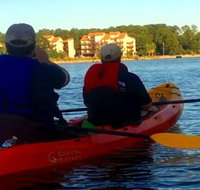 Dolphins and Wildlife Kayak Experience from Gulf Shores - Accommodation San Jose